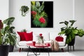 A Crimson Couch and Coffee Table Potted Plants Olive Colors