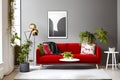 A Crimson Couch and Coffee Table Potted Plants Olive Colors
