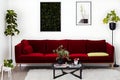 A Crimson Couch and Coffee Table Potted Plants Olive Colors