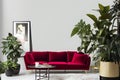 A Crimson Couch and Coffee Table Potted Plants Olive Colors