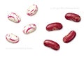 Red speckled kidney and crimson cranberry beans isolated on white background. Top view Royalty Free Stock Photo