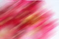 Crimson defocused background. Royalty Free Stock Photo