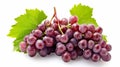 Crimson Delight: Vibrant Red Grapes Adorned with Lush Green Grape Leaves on a Pristine White Canvas