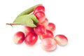 Crimson fruit named as koromcha Royalty Free Stock Photo