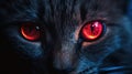 Crimson Gaze: Eerie Red Glowing Eyes Piercing the Night