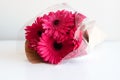 Crimson gerberas wrapped on table