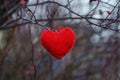 Crimson knitted from threads of a heart hanging in the branches Royalty Free Stock Photo