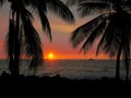 Silhouette of Palm Trees at Sunset With Ocean in Background at Kona, Hawaii on the Big Island Royalty Free Stock Photo