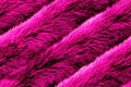 Crimson pink artificial fur with realistic glossy texture seamless pattern. Winter fashion color surface wool stripe