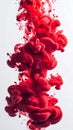Crimson Red Ink Cloud Dissolving Abstractly in Clear Water on White Background Royalty Free Stock Photo