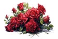Crimson Rose Bouquet romantic watercolor composition.