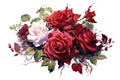 Crimson Rose Bouquet romantic watercolor composition.