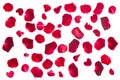 Crimson rose petals Royalty Free Stock Photo