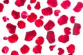 Crimson rose petals Royalty Free Stock Photo