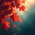 Crimson and russet leaves drift in gentle breeze , sunlight, wind Royalty Free Stock Photo