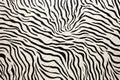 crinkled paper with zebra stripe pattern