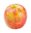 Cripps pink apple Royalty Free Stock Photo