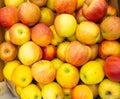 Crips Pink apples on the counter. Fruit in a box in the store