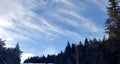 Is crisp blue sky In Vermont with cloud streaks and pine trees