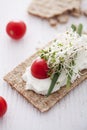 Crisp bread sandwich Royalty Free Stock Photo