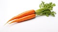 Crisp Carrot: A Wholesome Delight on White