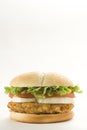 Crisp chicken burger with tomato onion cheese lett Royalty Free Stock Photo