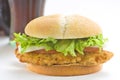 Crisp chicken burger tomato onion cheese lettuce Royalty Free Stock Photo