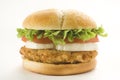 Crisp chicken burger tomato onion cheese lettuce Royalty Free Stock Photo