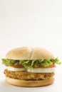 Crisp chicken burger tomato onion cheese lettuce Royalty Free Stock Photo