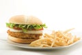 Crisp chicken burger tomato onion cheese lettuce Royalty Free Stock Photo