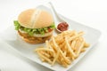 Crisp chicken burger tomato onion cheese lettuce Royalty Free Stock Photo