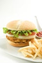 Crisp chicken burger tomato onion cheese lettuce Royalty Free Stock Photo