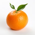 Crisp And Clean Oshare Kei Style Orange With Leaves