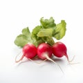 Crisp And Clean Radish: A Bold And Colorful Hatecore Inspired Still Life