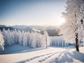 Crisp Elegance: A Cinematic Journey through Winter Whiteness Royalty Free Stock Photo