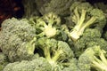 Crisp fresh broccoli at the market