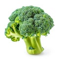 A crisp head of broccoli with florets isolated on a clean white background, Ai Generated