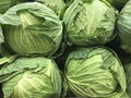 Closeup of healthy green cabbages in a pile