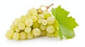 Crisp and Juicy: A Cluster of Fresh Isolated White Grapes Royalty Free Stock Photo