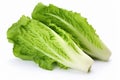 Crisp Lettuce leaves cabbage. Generate Ai