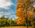 Crisp mid fall day in Groton Massachusetts shows it colors, red, orange, blue white