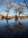 Crisp morning hike Royalty Free Stock Photo