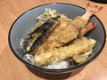 Crisp tempura rice bowl. Royalty Free Stock Photo