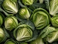 Crisp and Vibrant: A Stunning Savoy Cabbage Background for Culinary Inspiration.