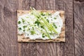Crispbread with Creme Cheese and Chives Royalty Free Stock Photo