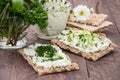 Crispbread with fresh Cream Cheese Royalty Free Stock Photo