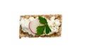 Crispbread Isolated with cottage cheese radishes and chives Royalty Free Stock Photo