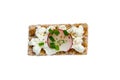 Crispbread isolated with cottage cheese radishes and chives Royalty Free Stock Photo