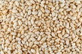 Crisped puffed rice cereal as background texture - close-up Royalty Free Stock Photo