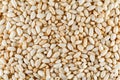 Crisped puffed rice cereal as background texture - close-up Royalty Free Stock Photo